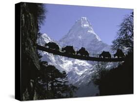 Bridge on Ama Dablam, Nepal-Michael Brown-Stretched Canvas