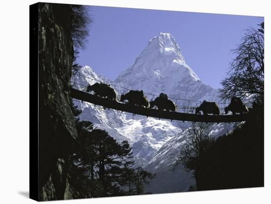 Bridge on Ama Dablam, Nepal-Michael Brown-Stretched Canvas