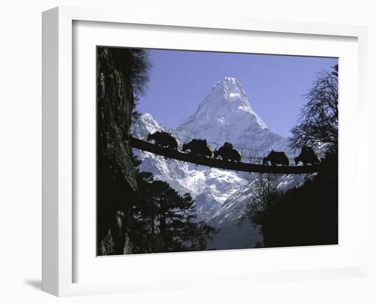 Bridge on Ama Dablam, Nepal-Michael Brown-Framed Premium Photographic Print