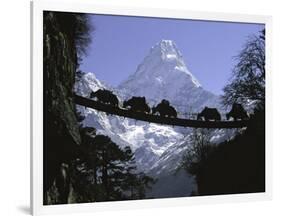 Bridge on Ama Dablam, Nepal-Michael Brown-Framed Premium Photographic Print