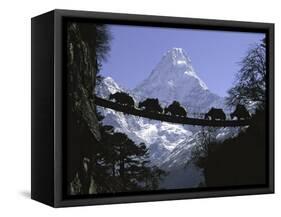 Bridge on Ama Dablam, Nepal-Michael Brown-Framed Stretched Canvas