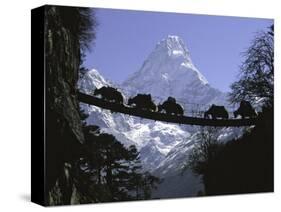 Bridge on Ama Dablam, Nepal-Michael Brown-Stretched Canvas