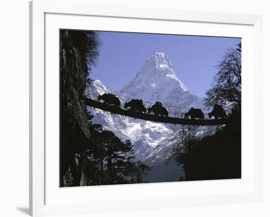 Bridge on Ama Dablam, Nepal-Michael Brown-Framed Photographic Print