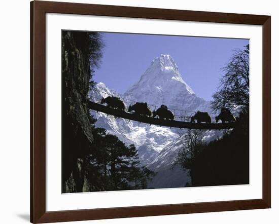 Bridge on Ama Dablam, Nepal-Michael Brown-Framed Photographic Print