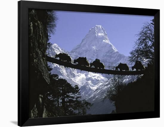 Bridge on Ama Dablam, Nepal-Michael Brown-Framed Photographic Print