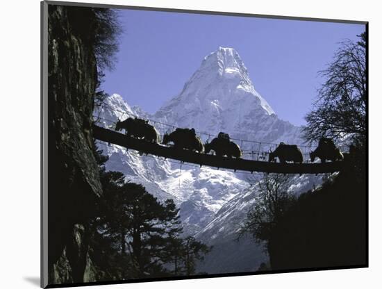 Bridge on Ama Dablam, Nepal-Michael Brown-Mounted Photographic Print