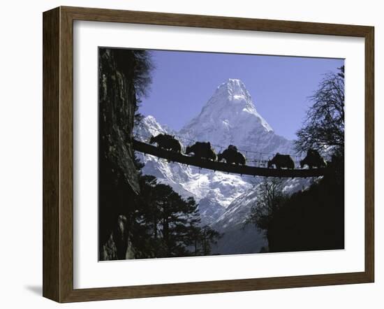 Bridge on Ama Dablam, Nepal-Michael Brown-Framed Photographic Print