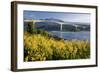 Bridge Over A Bay-null-Framed Art Print