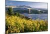 Bridge Over A Bay-null-Mounted Art Print