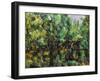 Bridge Over A Pond-Paul Cézanne-Framed Giclee Print