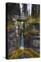 Bridge over a Waterfall with Rocks on Each Side-null-Stretched Canvas