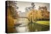 Bridge over Cam River, Cambridge University-sborisov-Stretched Canvas