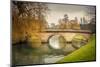 Bridge over Cam River, Cambridge University-sborisov-Mounted Photographic Print