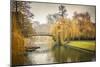 Bridge over Cam River, Cambridge University-sborisov-Mounted Photographic Print