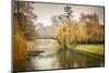 Bridge over Cam River, Cambridge University-sborisov-Mounted Photographic Print