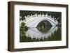 Bridge over garden pond in Liberty Square, Taipei, Taiwan-Keren Su-Framed Photographic Print