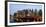 Bridge over Keizersgracht at dusk, Amsterdam, Netherlands-null-Framed Photographic Print