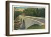 Bridge over Linville River-null-Framed Art Print