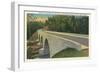 Bridge over Linville River-null-Framed Art Print