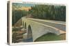 Bridge over Linville River-null-Stretched Canvas