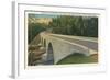 Bridge over Linville River-null-Framed Art Print