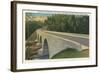 Bridge over Linville River-null-Framed Art Print