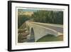 Bridge over Linville River-null-Framed Art Print