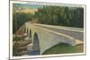 Bridge over Linville River-null-Mounted Art Print