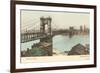 Bridge over Ohio, Cincinnati, Ohio-null-Framed Art Print