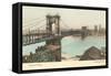 Bridge over Ohio, Cincinnati, Ohio-null-Framed Stretched Canvas