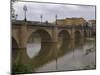 Bridge over Rio Ebro in Logrono, La Rioja, Spain-Janis Miglavs-Mounted Photographic Print