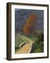 Bridge over the Beal, 1922-Félix Vallotton-Framed Giclee Print