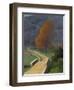 Bridge over the Beal, 1922-Félix Vallotton-Framed Premium Giclee Print