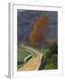 Bridge over the Beal, 1922-Félix Vallotton-Framed Giclee Print