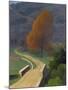 Bridge over the Beal, 1922-Félix Vallotton-Mounted Giclee Print