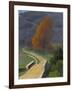 Bridge over the Beal, 1922-Félix Vallotton-Framed Giclee Print