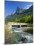 Bridge Over the River Arazas, Huesca (Pyrenees), Ordesa National Park, Aragon, Spain, Europe-Ruth Tomlinson-Mounted Photographic Print