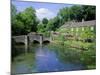 Bridge Over the River Colne, Bibury, the Cotswolds, Oxfordshire, England, UK-Neale Clarke-Mounted Photographic Print