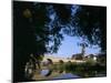 Bridge Over the River Main, Wurzburg, Bavaria, Germany-Oliviero Olivieri-Mounted Photographic Print