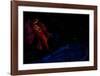 Bridge over the Seine-Marc Chagall-Framed Art Print