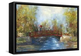 Bridge over the water-Anna Polanski-Framed Stretched Canvas