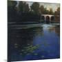 Bridge Over Water-Tim O'toole-Mounted Giclee Print