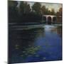 Bridge Over Water-Tim O'toole-Mounted Giclee Print