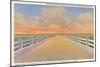 Bridge, Pensacola, Florida-null-Mounted Art Print