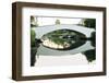 Bridge reflecting in water, Venice Beach, Los Angeles, California, USA-Panoramic Images-Framed Photographic Print
