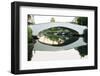 Bridge reflecting in water, Venice Beach, Los Angeles, California, USA-Panoramic Images-Framed Photographic Print