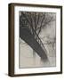 Bridge Reflection-Frances Gallogly-Framed Photographic Print