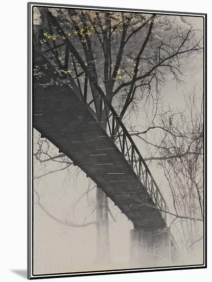 Bridge Reflection-Frances Gallogly-Mounted Photographic Print