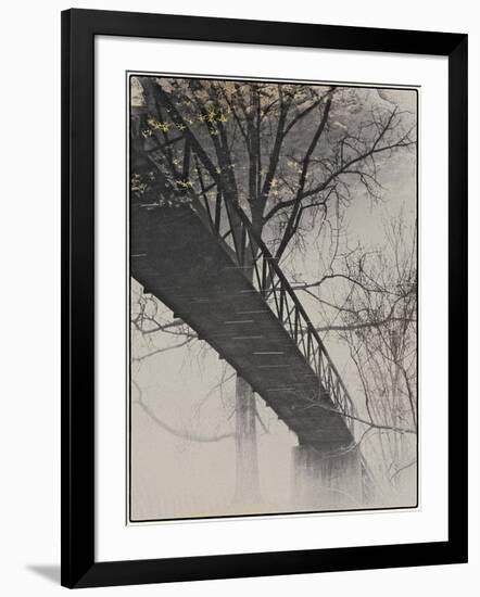 Bridge Reflection-Frances Gallogly-Framed Photographic Print