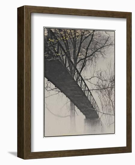 Bridge Reflection-Frances Gallogly-Framed Photographic Print